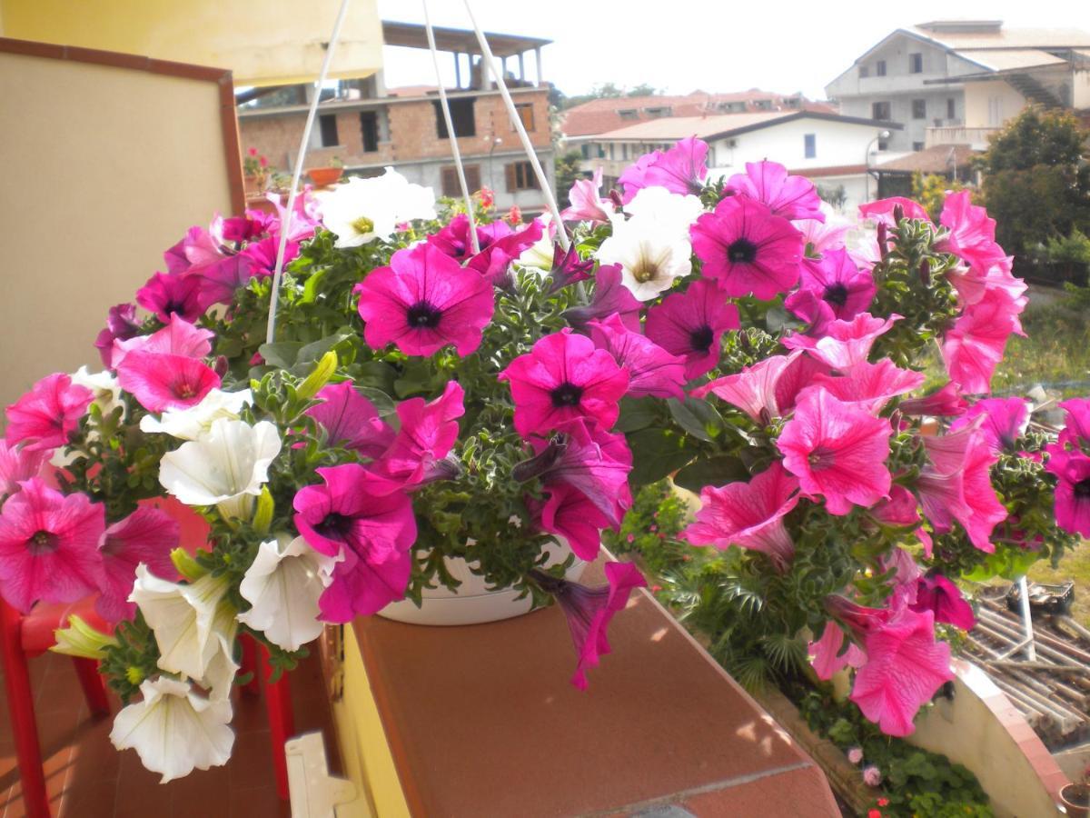 B&B Del Sole Tropea Riaci Extérieur photo